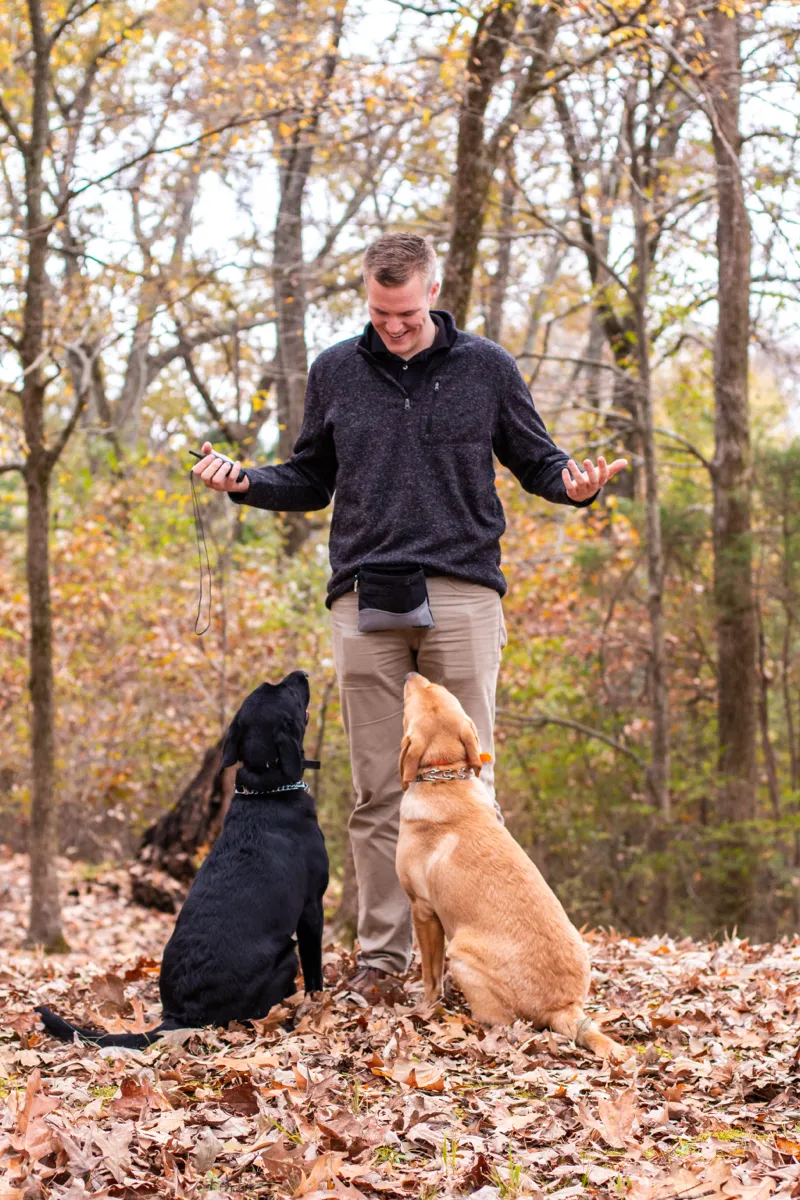 A trainer standing between a black Labrador and a yellow Labrador in an autumn wood