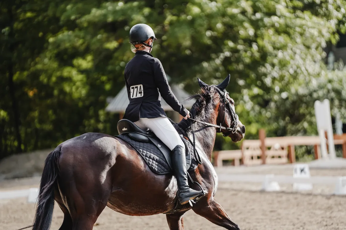 A rider with the number 774 riding a dark bay horse past the tree line