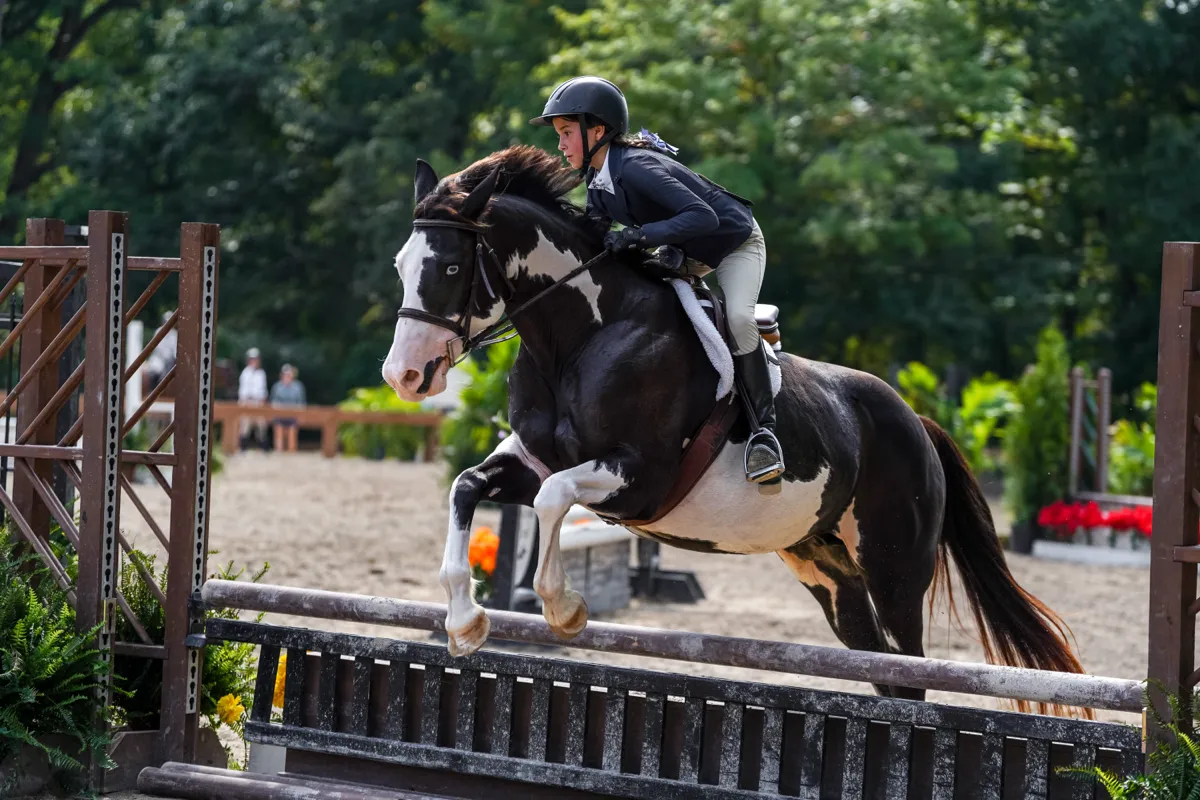 A young rider and a black-and-white paint horse clearing a rail jump