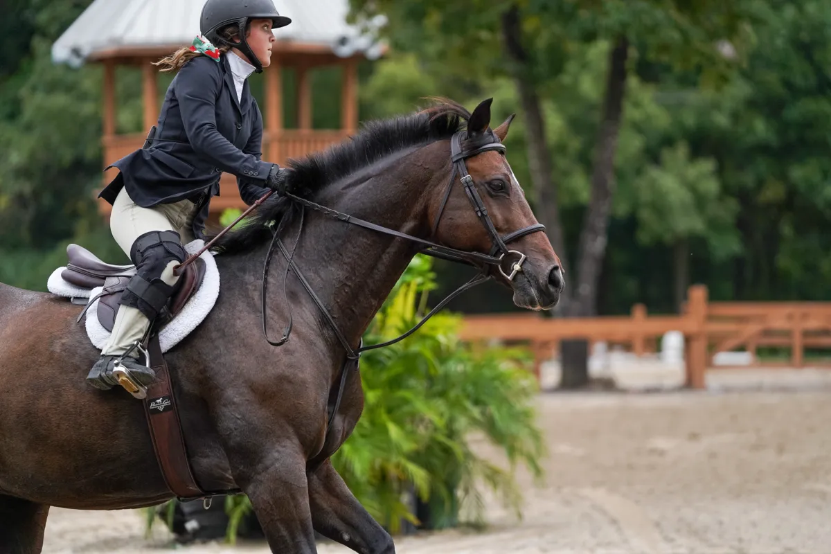 A rider cantering a dark bay horse past a wooden gazebo