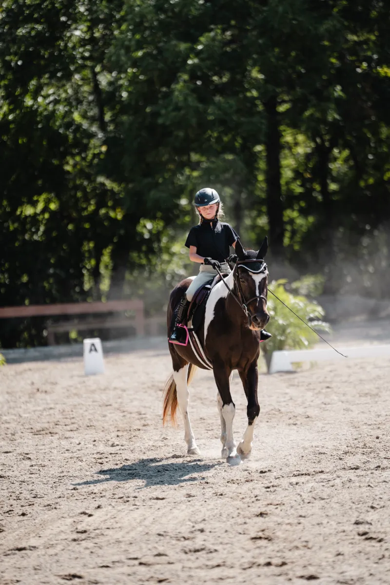 A young rider walking a paint horse toward the camera in a sunlit dressage arena