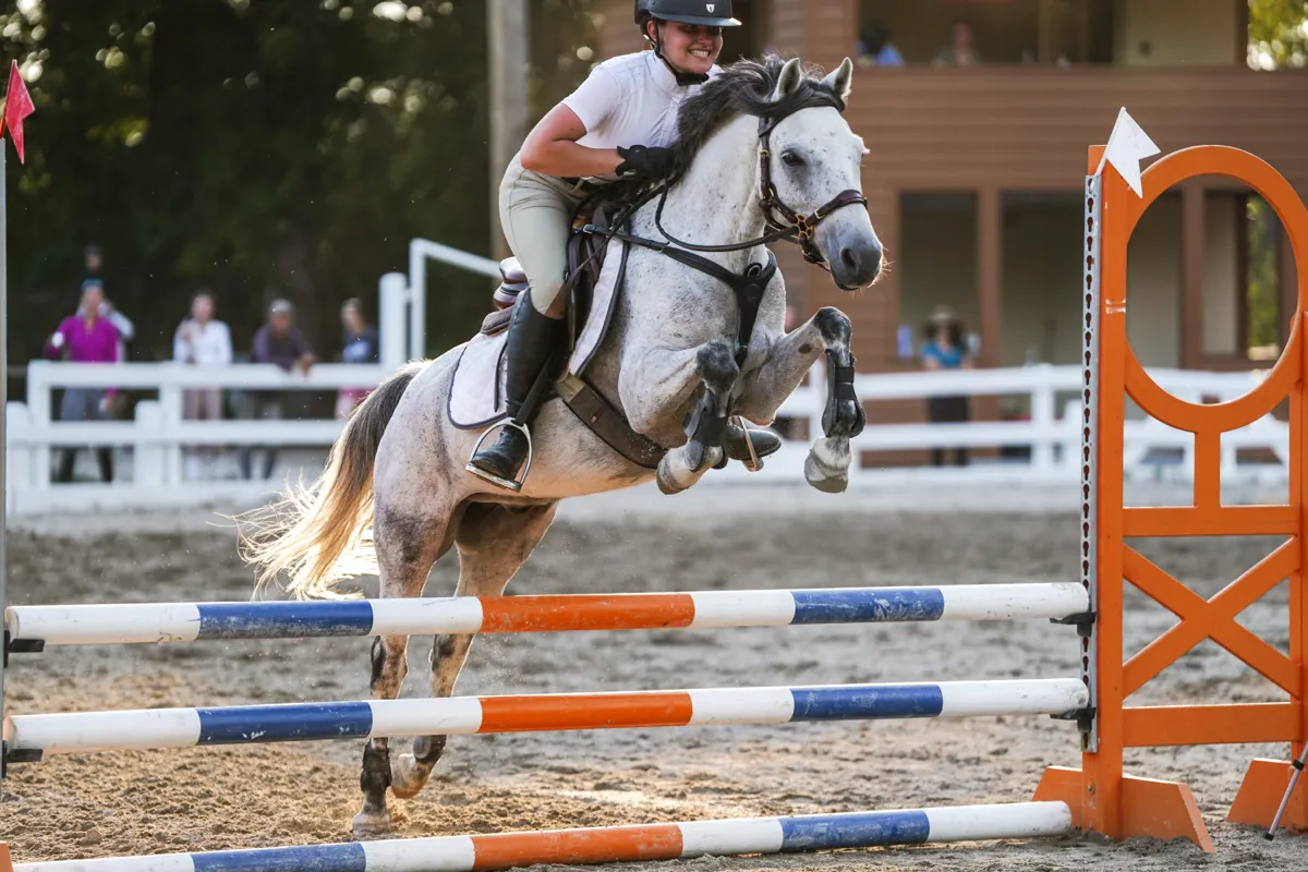 A grey horse clearing a striped jump at golden hour, the rider grinning