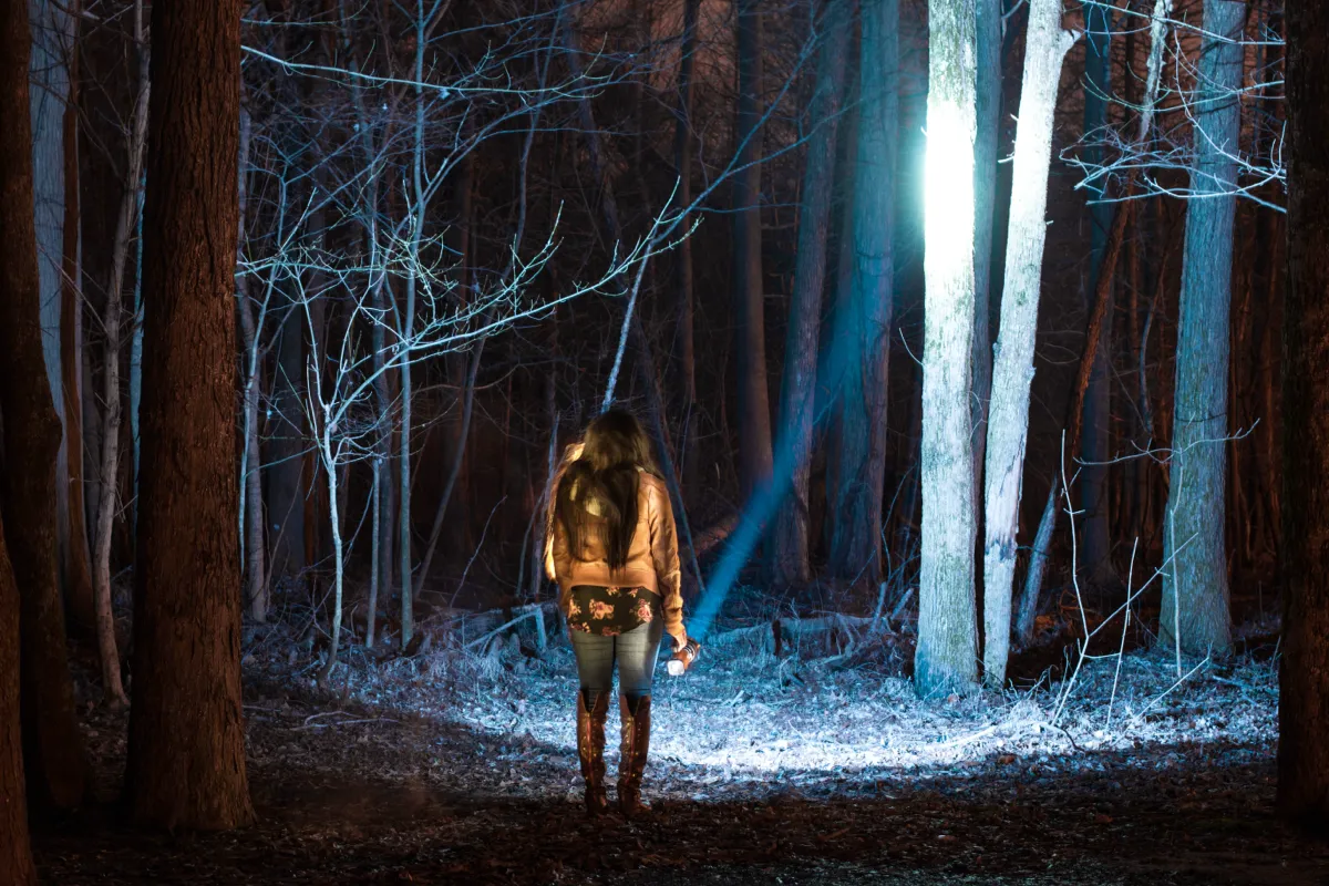 A person standing in a winter wood, lit from behind by a single beam of blue light