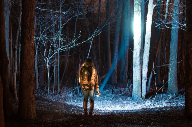 A figure seen from behind in a winter wood, lit by a single beam of blue light