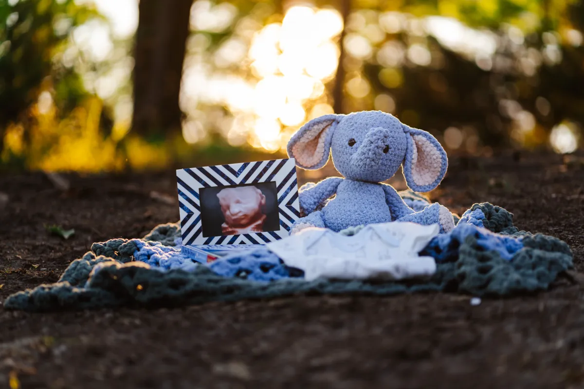 A knitted elephant, a baby blanket and an ultrasound photograph arranged on the ground at sunset