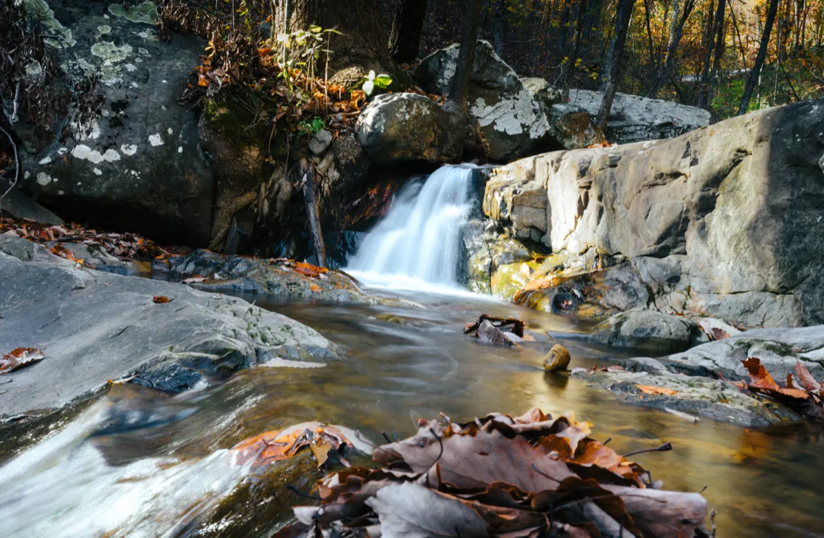 A small waterfall running into a clear pool scattered with autumn leaves